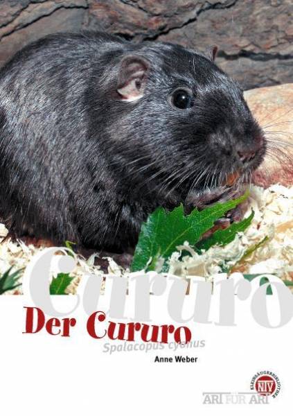 Der Cururo